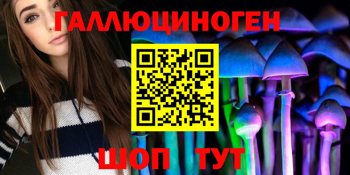 Галлюциногенные грибы Psilocybine cubensis Камень-на-Оби